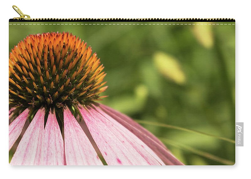 Wildflower Carry-all Pouch featuring the photograph Coneflower by Holly Ross