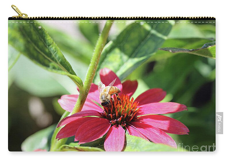 Insect Zip Pouch featuring the photograph Coneflower Honeybee II by Mary Haber