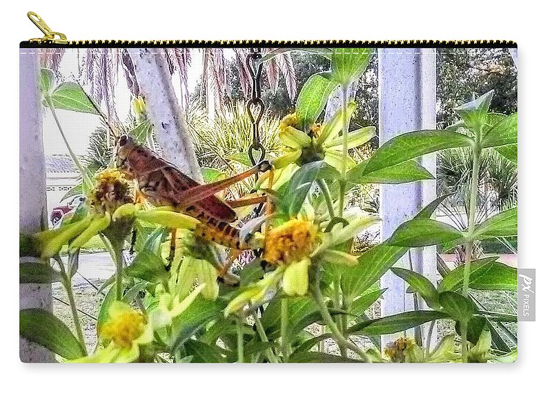 Grasshopper Carry-all Pouch featuring the photograph Contemplating by Suzanne Berthier