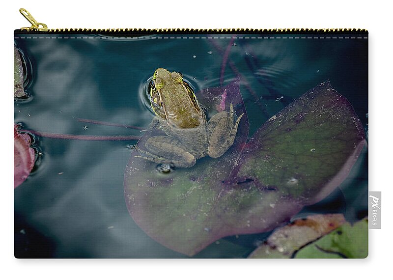 Animal Portrait Zip Pouch featuring the photograph Cool frog-hot day by Brian Green
