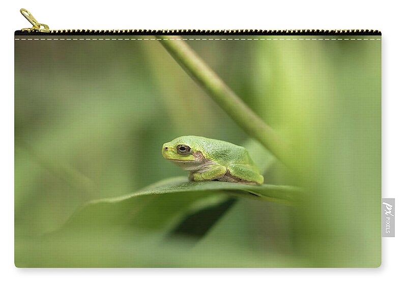 Cope's Gray Treefrog Zip Pouch featuring the photograph Cope's Gray Treefrog by Thomas Young