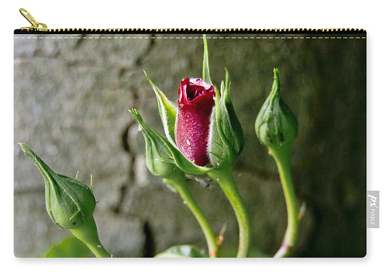 Flower Zip Pouch featuring the photograph Coquette. by Elena Perelman