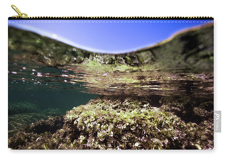 Underwater Zip Pouch featuring the photograph Coral Beauty by Gemma Silvestre