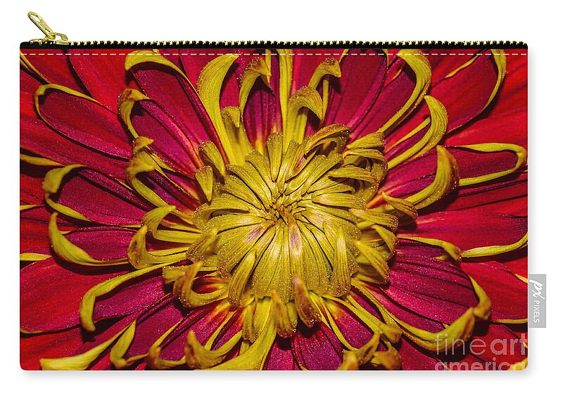 Flower Zip Pouch featuring the photograph Core of the flower by Gerald Kloss