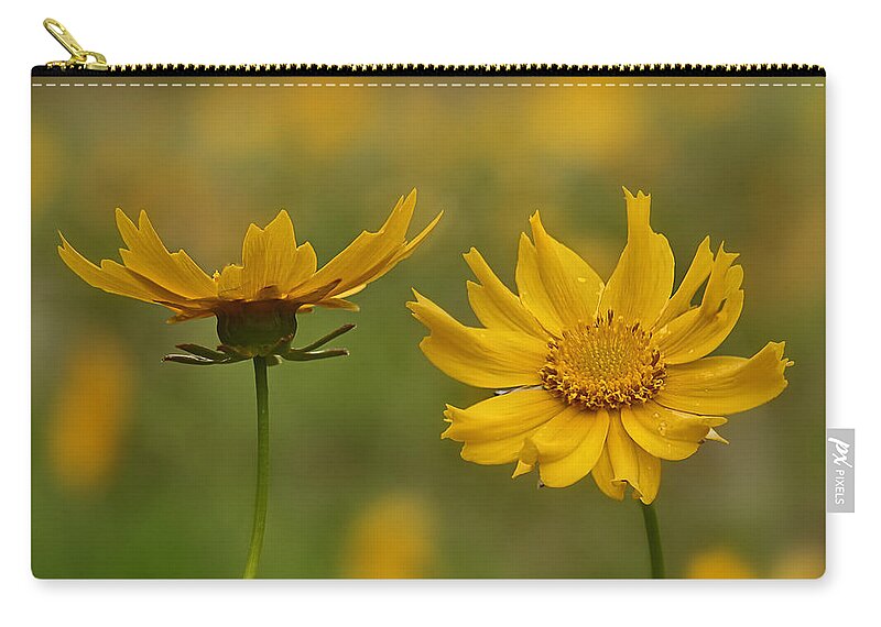 2015 Carry-all Pouch featuring the photograph Coreopsis by Robert Charity
