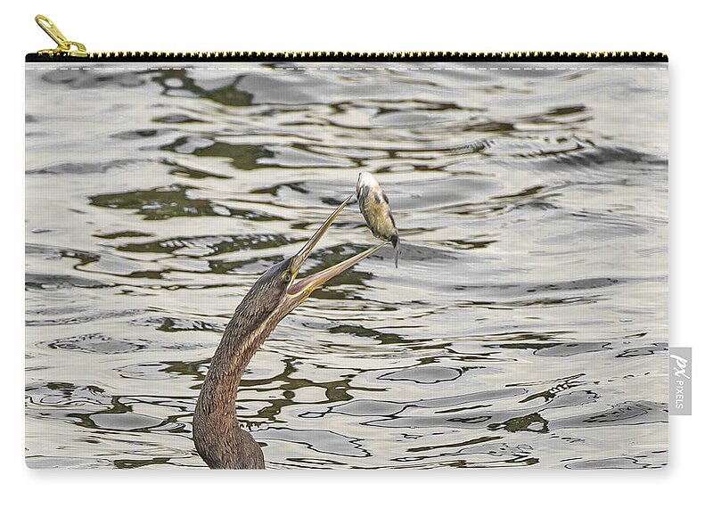 Birds Zip Pouch featuring the photograph The catch by Patrick Kain