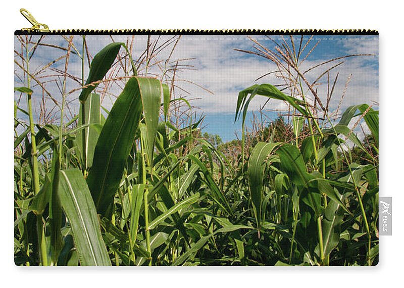 Corn Zip Pouch featuring the photograph Corn 2287 by Guy Whiteley