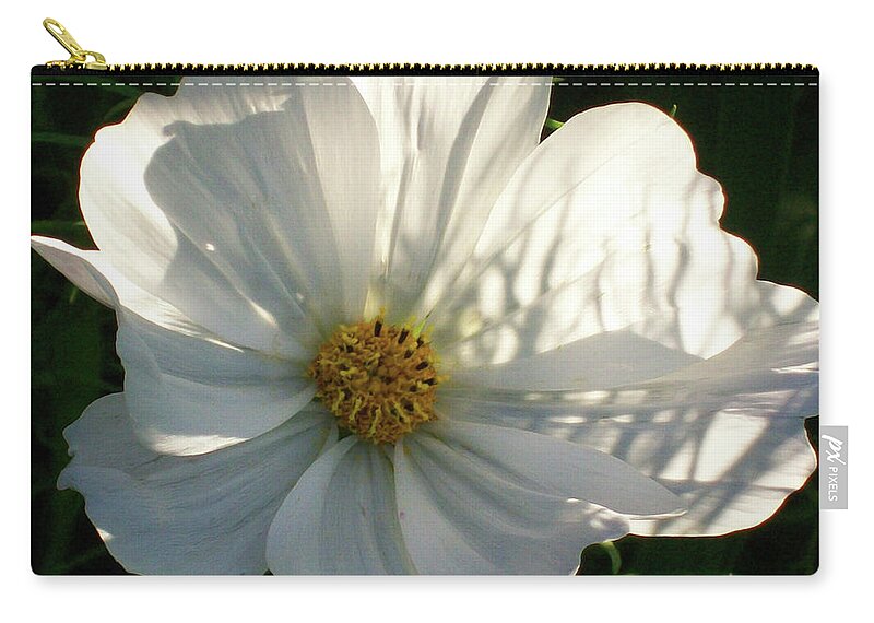 Flowers Zip Pouch featuring the photograph Cosmos and Light by Cris Fulton
