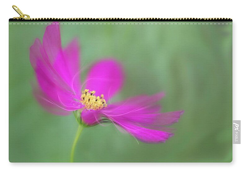 Macro Carry-all Pouch featuring the photograph Cosmos gets ready for the prom. by Usha Peddamatham