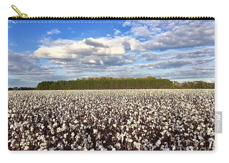 Cotton Zip Pouch featuring the photograph Cotton Field by Flavia Westerwelle