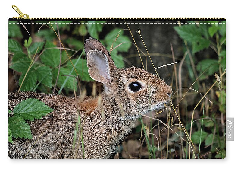 Nature Zip Pouch featuring the photograph Cottontail Bunny Breakfast by Sheila Brown