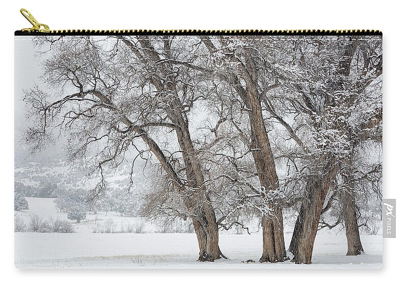 Cottonwood Carry-all Pouch featuring the photograph Cottonwood Companions by Denise Bush
