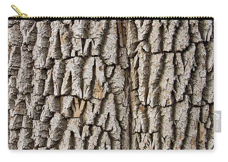 Texture Prints Zip Pouch featuring the photograph Cottonwood Tree Texture Print by James BO Insogna
