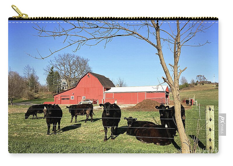 Cows Zip Pouch featuring the photograph Country Cows by Laura Kinker
