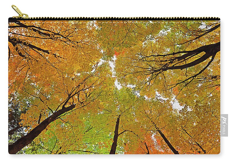 Maple Zip Pouch featuring the photograph Cover Up by Tony Beck