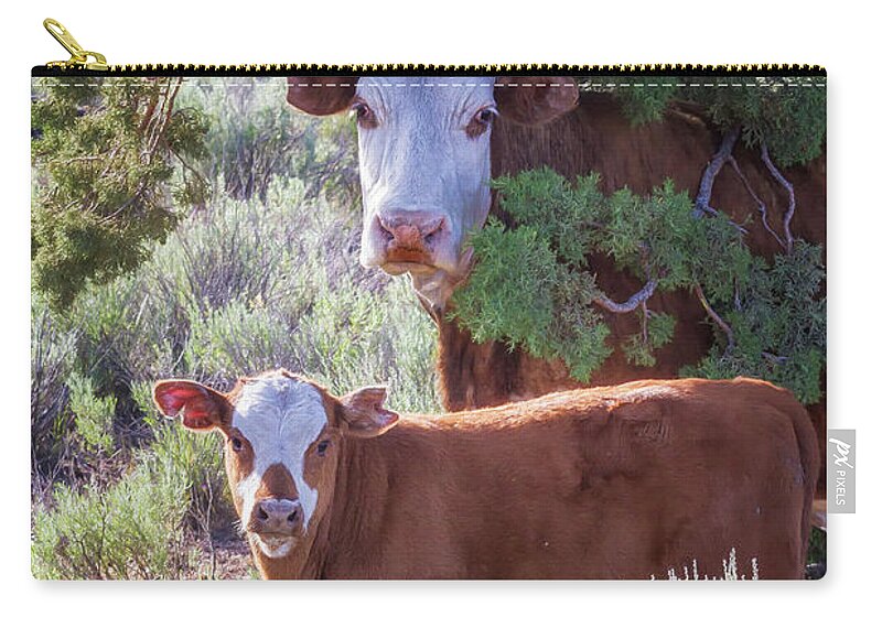 Cow Zip Pouch featuring the photograph Cow and Calf by Belinda Greb