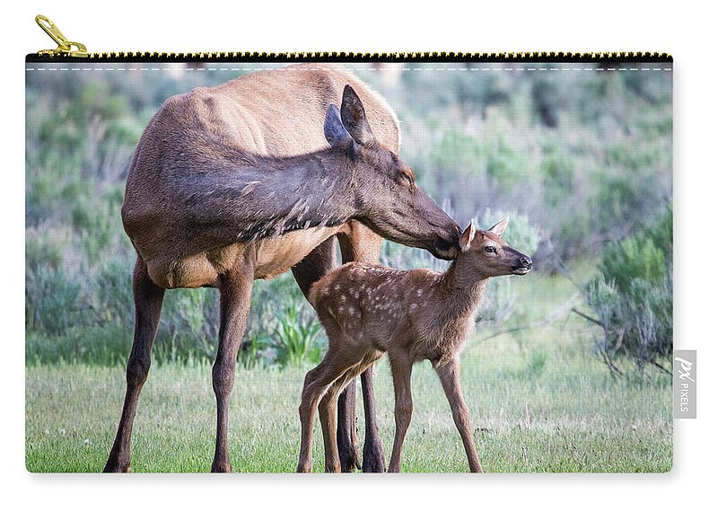 Elk Zip Pouch featuring the photograph Cow and Calf Elk by Wesley Aston