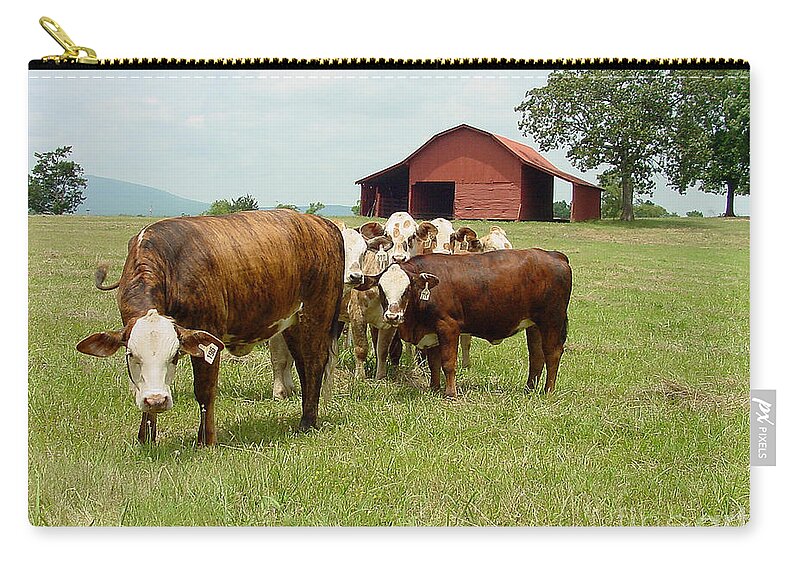 Cow Zip Pouch featuring the photograph Cows8939 by Gary Gingrich Galleries