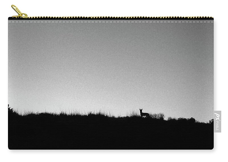 Coyote Carry-all Pouch featuring the photograph Coyote at Sunrise by Mary Lee Dereske