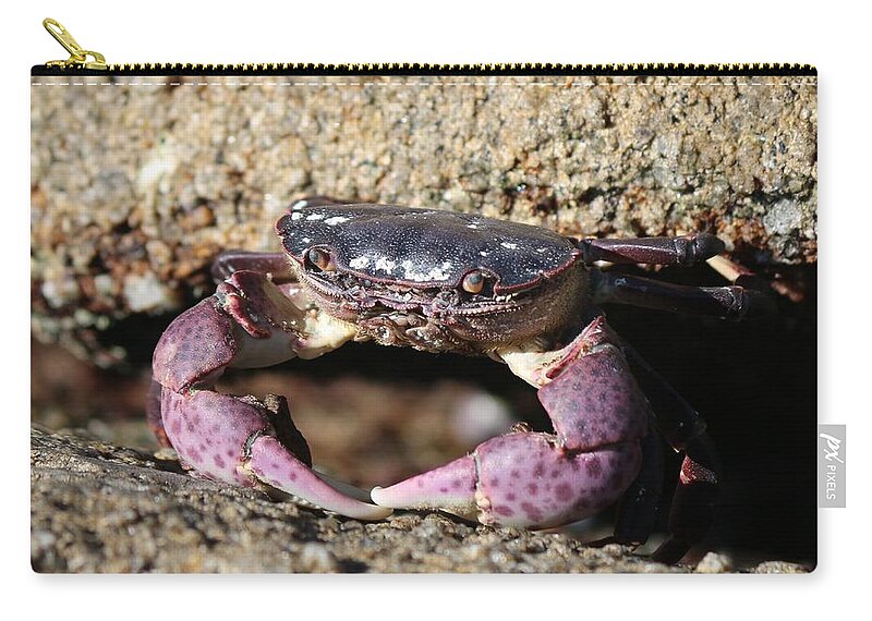 Crab Zip Pouch featuring the photograph Crab 2 by Christy Pooschke
