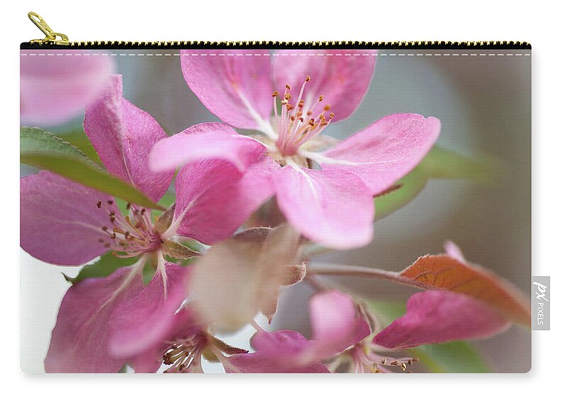 Jenny Rainbow Fine Art Photography Zip Pouch featuring the photograph Crabapple Tree Pink Flowers by Jenny Rainbow