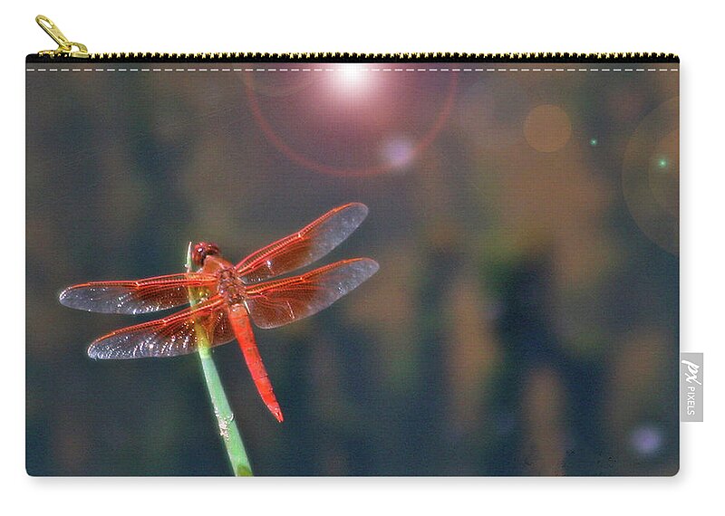 Dragonfly Zip Pouch featuring the photograph Crackerjack Dragonfly by Matalyn Gardner