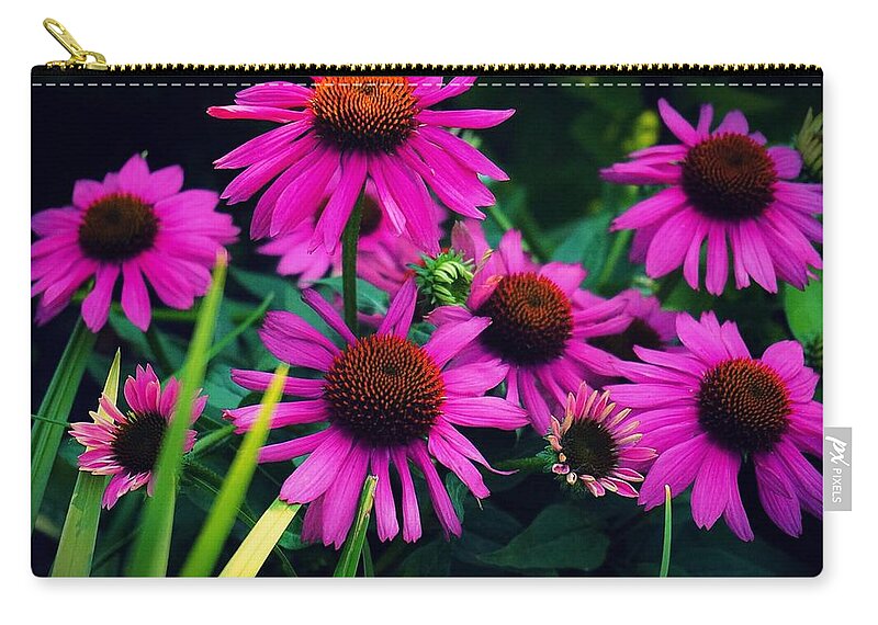  Zip Pouch featuring the photograph Crazy for Coneflowers by Kendall McKernon
