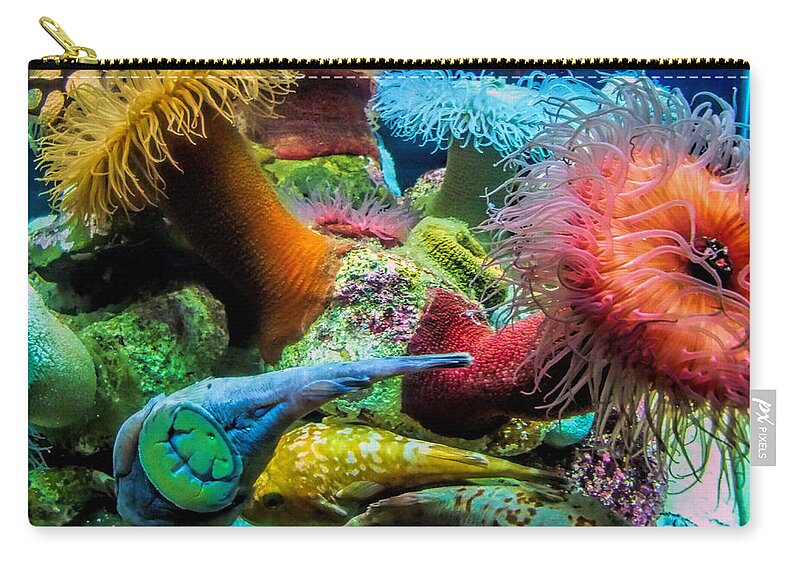 Aquarium Zip Pouch featuring the photograph Creatures of the Aquarium by Lynn Bolt
