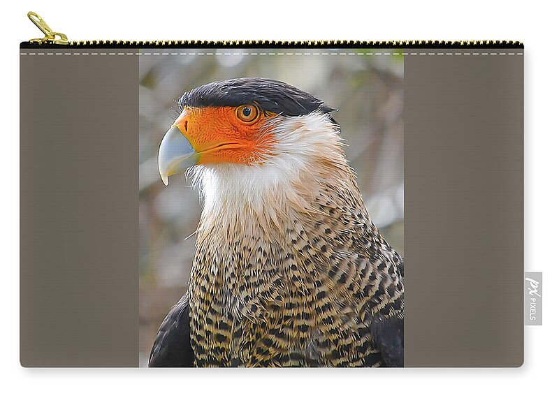 Wildlife Zip Pouch featuring the photograph Crested Caracara by Krystal Billett