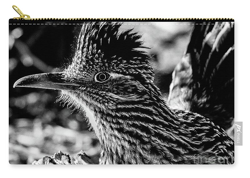 Bird Zip Pouch featuring the photograph Cresting Roadrunner, Black and White by Adam Morsa