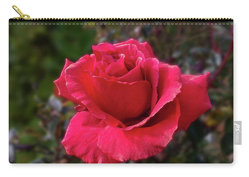 Rose Zip Pouch featuring the photograph Crimson Carmine by Mark Blauhoefer