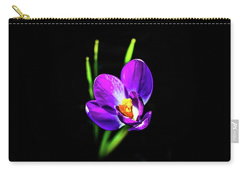Flower Zip Pouch featuring the pyrography Crocus 2018-2 by Barry Wills