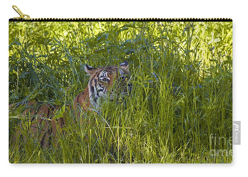 Crouching Tiger Zip Pouch featuring the photograph Crouching Tiger by Keith Kapple