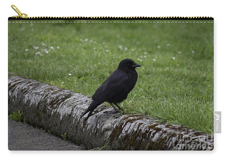 Landscape Zip Pouch featuring the photograph Crow at Point Roberts by Donna L Munro