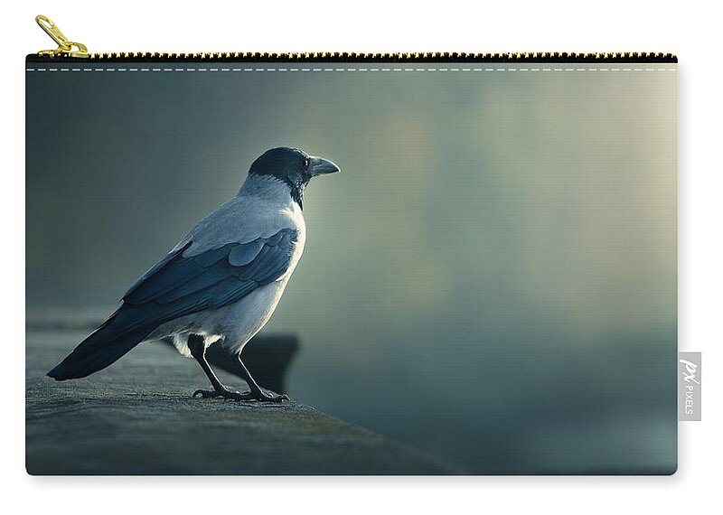 Crow Zip Pouch featuring the photograph Crow by Jackie Russo