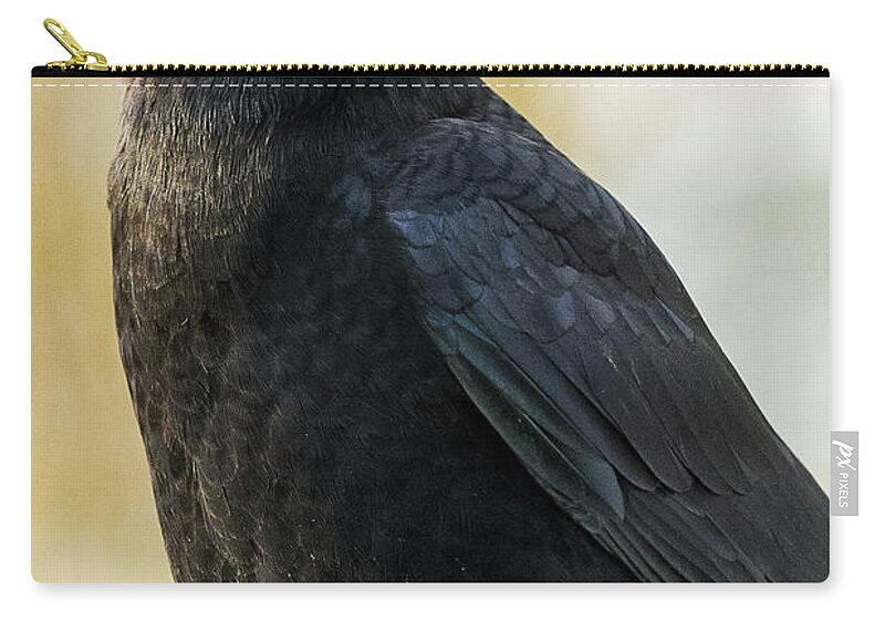 Minnesota Zip Pouch featuring the photograph Crow by Joan Wallner