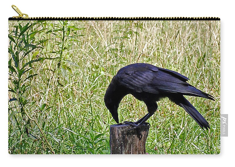 Birds Zip Pouch featuring the photograph Crow on a Post by Jennifer Robin