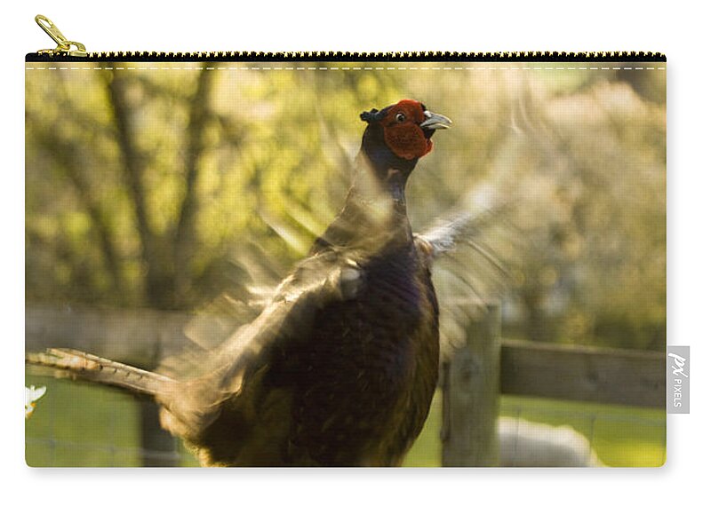 Pheasant Zip Pouch featuring the photograph Crowing by Ang El