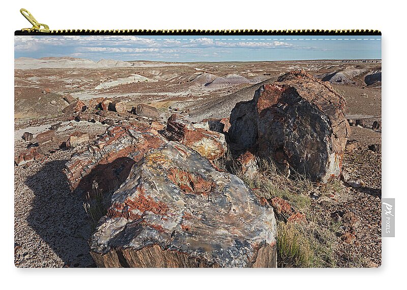 Tom Daniel Zip Pouch featuring the photograph Crystal Forest Stump by Tom Daniel