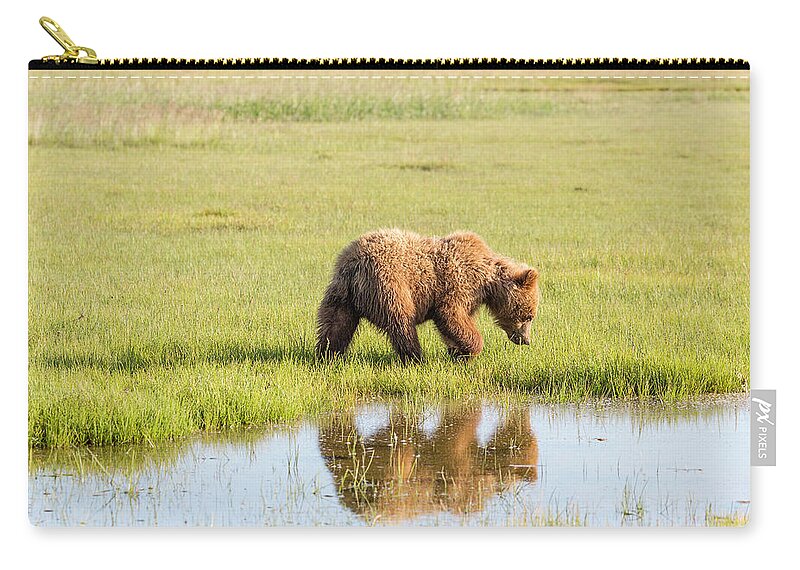 Cub Zip Pouch featuring the photograph Cub Reflection by Mark Harrington