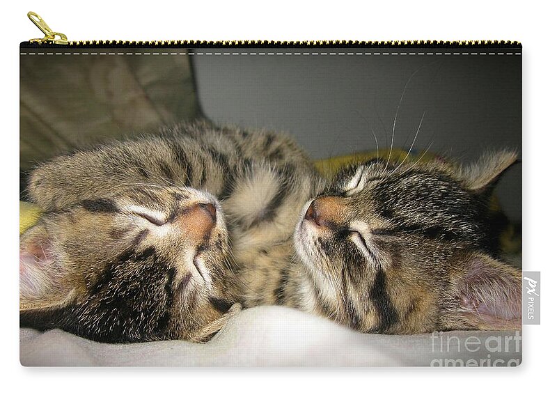 Kitty Zip Pouch featuring the photograph Cuddle Buddies by Heather King