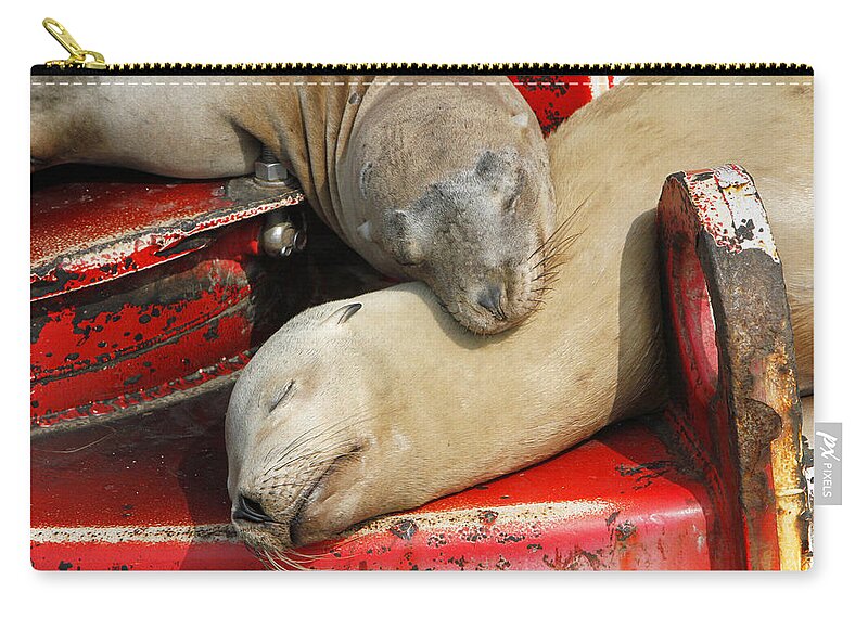 Sea Lions Zip Pouch featuring the pyrography Cuddle Buddies by Shoal Hollingsworth