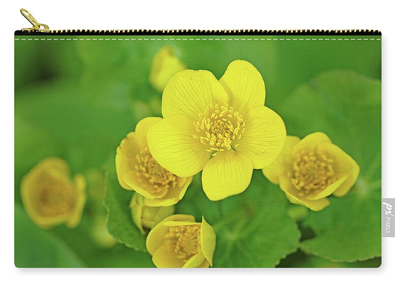 Marsh Marigold Zip Pouch featuring the photograph Cup Of Kings by Debbie Oppermann