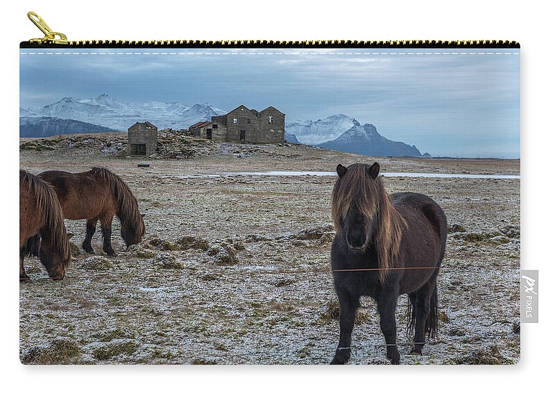 Landscape Zip Pouch featuring the photograph Curious Horse by Scott Cunningham