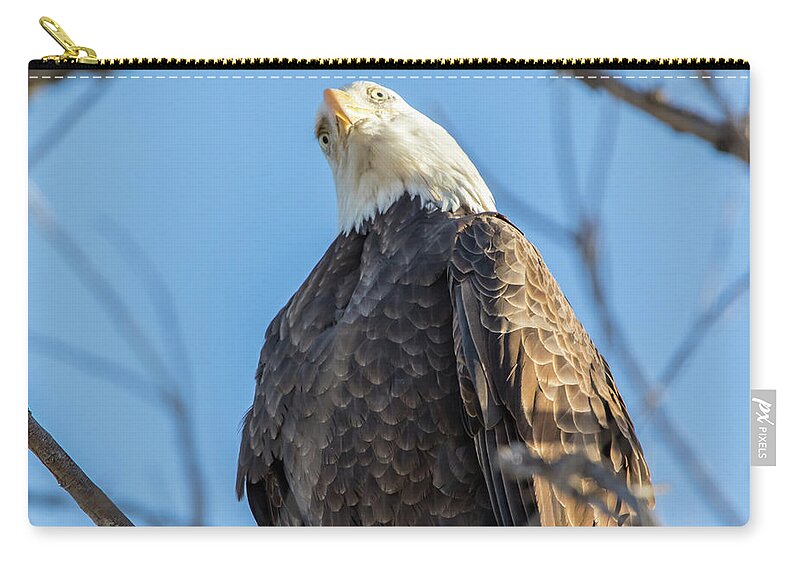 California Zip Pouch featuring the photograph Curious by Marc Crumpler