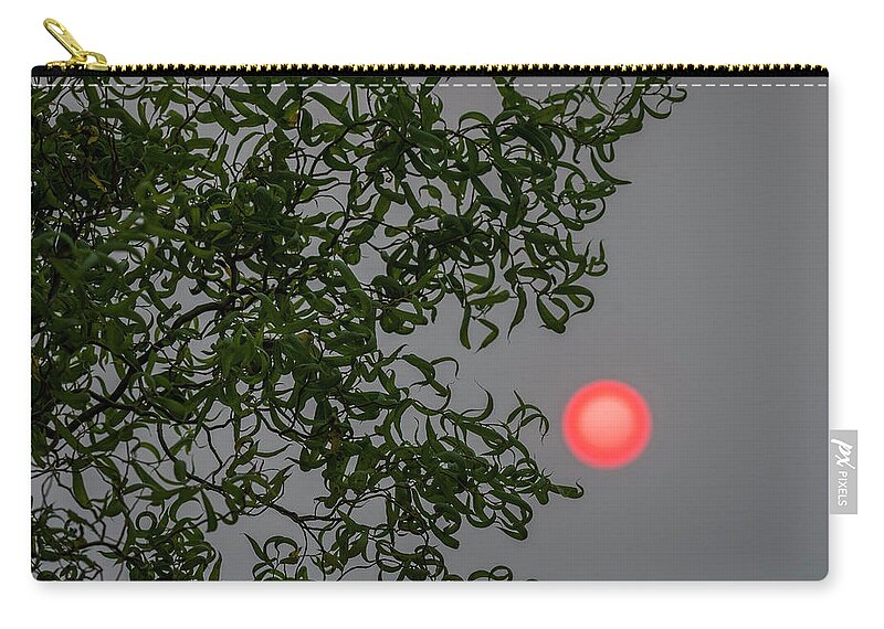 Astoria Zip Pouch featuring the photograph Curly Willow and Sun by Robert Potts
