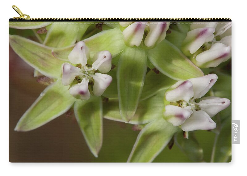 Milkweed Zip Pouch featuring the photograph Curtiss' Milkweed #4 by Paul Rebmann