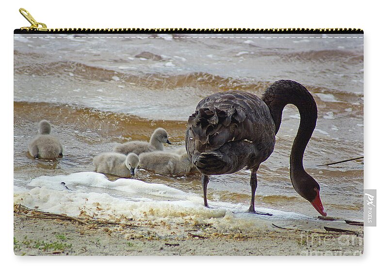 Family Zip Pouch featuring the photograph Cygnus atratus IV by Cassandra Buckley