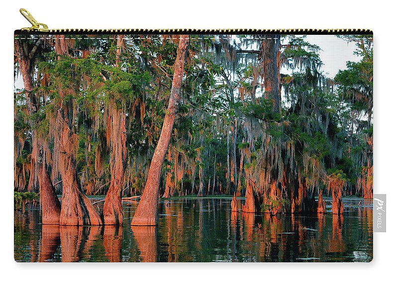 Cypress Zip Pouch featuring the photograph Cypress Grove by Nicholas Blackwell