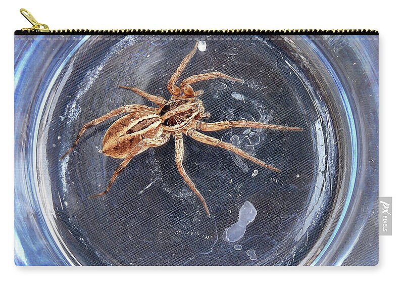 Spider Zip Pouch featuring the photograph D-A0011 Wolf Spider on Sonoma Mountain by Ed Cooper Photography